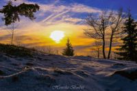 Winter auf dem Blauen o.N.